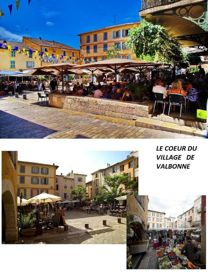 Les Chenes Verts Valbonne Εξωτερικό φωτογραφία